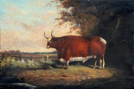 ENGLISH SCHOOL (19th century)
Prize Bull in Landscape
Oil on canvas
33 x 23 cm, unframed CONDITION