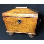 A 19th century sarcophagus form tea caddy
With twin lidded internal compartments.  Approximately
