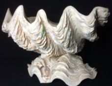 A tazza formed from a large clam shell
Approximately 30 cm wide.