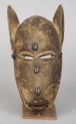 A Mali tribal carved wooden lion mask
Naturalistically modelled inset with small conch shells,