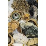 A quantity of hardstone, mineral and fossil specimens
A variety. CONDITION REPORTS: Generally in