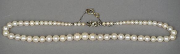 A single strand pearl necklace
With diamond set white metal clasp, the pearls graduated.