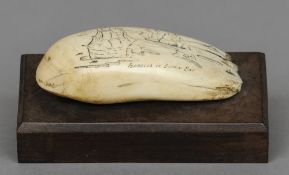 A 19th century scrimshaw sperm whales tooth 
Probably later carved with Isabella in Baffin Bay,