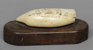 A 19th century scrimshaw sperm whale tooth 
Probably later carved with Whalers in the Ice, mounted