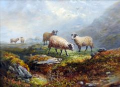 WALTER WILLIAM ACOCK (1847-1933) British
Sheep in a Highland Landscape
Oil on canvas
Signed and