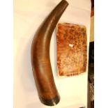 A large animal horn along with a faux to