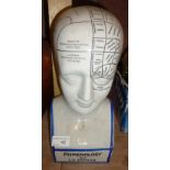 Phrenology head by L N Fowler