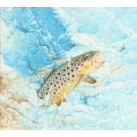 Property of a lady - Martin Camm (British, b.1954) - 'A SMALL BROWN TROUT' - watercolour with