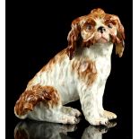 Property of a deceased estate, a lady of title - a C19th Meissen model of a Bolognese hound or