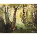 Property of a lady - Jeanne Girling (modern) - 'THE OLD TREES' - oil on paper, 13.5 by 16.5ins. (