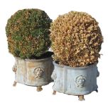 Property of a deceased estate - a pair of 19th century grey painted cast iron quatrefoil planters,