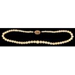 A graduated cultured pearl single strand necklace, the largest pearl approximately 9mm diameter, the