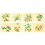 A set of eight 19th century Chinese botanical watercolour paintings, each approximately 10.9 by 12.