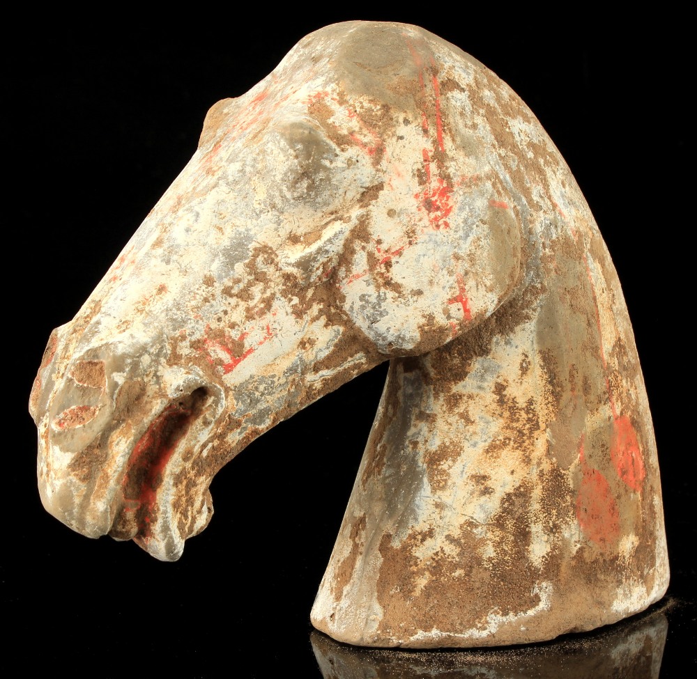 A private collection of Oriental ceramics & works of art - a Chinese terracotta model of a horse's