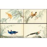 Property of a deceased estate - a set of four late 19th century Chinese paintings on pith-paper