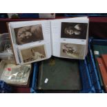 Collections of Postcards in Two Albums. The cards almost always are early XX Century and cover a