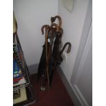 "Insonia" and "The Cadet" Shooting Sticks, horn handled, and four other walking canes, three