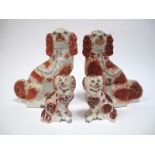 A Pair of XIX Century Staffordshire Spaniel Dogs, with rust red patches and black feet, 30.5cms