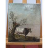 MANNER OF PAULUS POTTER (1625-1654)Study of a Bull in a Landscape, oil on canvas,38.5 x 32cms.