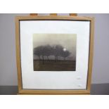 AFTER PHIL GREENWOOD (British, Late XX Century)Winter Copse, limited edition aquatint, signed,