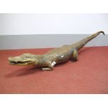 An Early XX Century Taxidermy Specimen of a Nile Crocodile, with neat original stitiching underneath