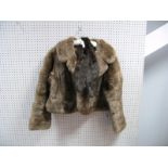 A Ladies Fur Evening Jacket, light brown, waist length with collar, curved lower edge and side