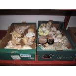 A Quantity of Sea Shells:- Two Boxes