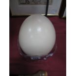 An Ostrich Egg.