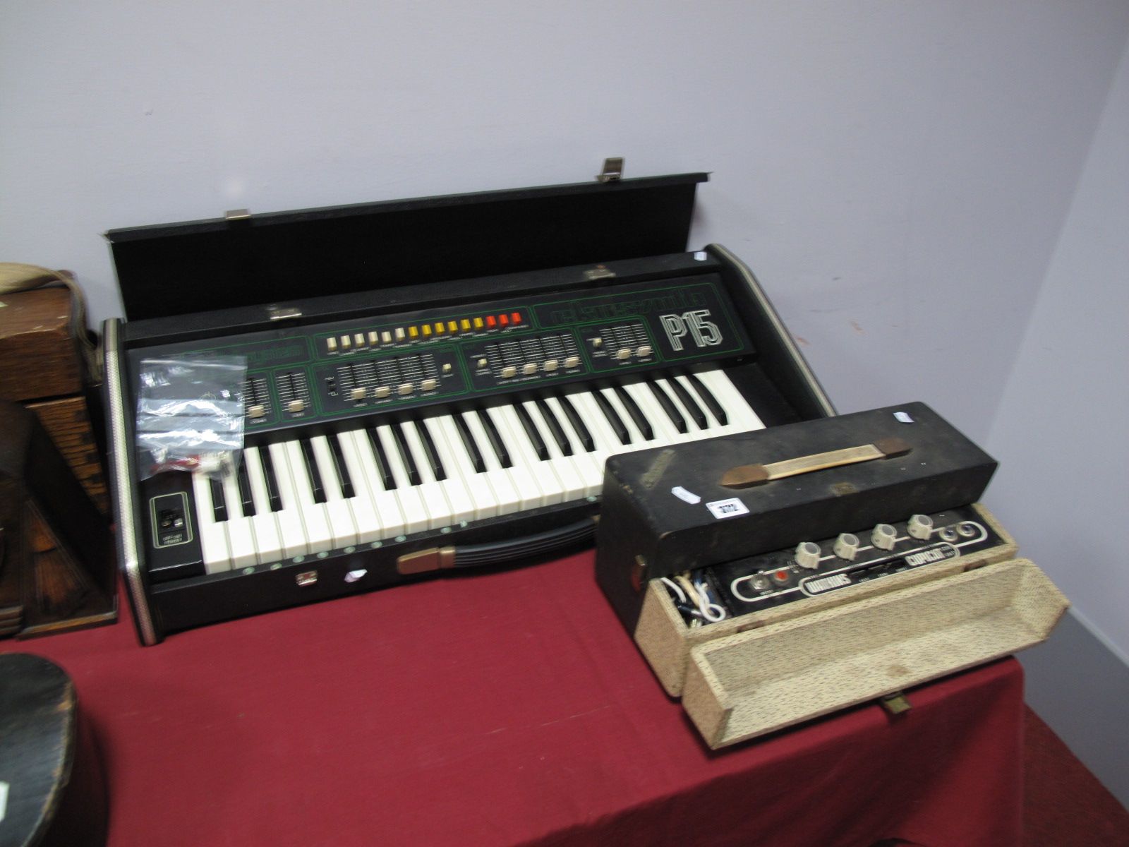 An Ekosynth P15 Digital System Keyboard, together with a Watkins Copicat amplifier.