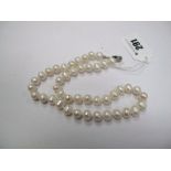 A Single Strand Fresh Water Pearl Bead Necklace, knotted.