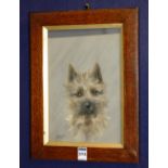 Unknown Artist
'Portrait of a Terrier'
Pastel, signed lower left,