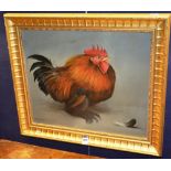 Edward Hasell McCosh (Contemporary) ARR
'The Feather Footed Bantam Cock'
Oil on canvas,
