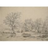 IVAN IVANOVICH SHISHKIN (RUSSIAN 1832-1898)Landscape Study, 1893graphite on paper31 x 43 cm (12 1/