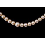 Cultured pearl necklace with silver clasp Worldwide shipping available on all items. Direct