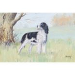 R. Corchrane portrait of a spaniel in a landscape, signed oil on canvas, dated 1978 Worldwide