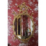 PAIR OF NINETEENTH-CENTURY PERIOD CARVED GILTWOOD PIER MIRRORS each with an oval plate within a