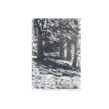 CATHY HENDERSON Quill woods-June Evening’, limited edition etching, 1/20 Direct all shipping