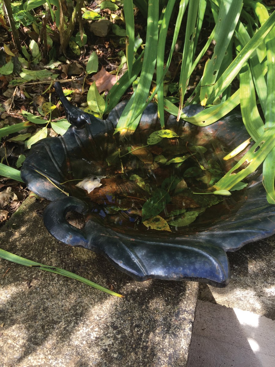 ﻿SMALL CAST-IRON BIRD BATH Direct all shipping enquiries to shipping@sheppards.ie