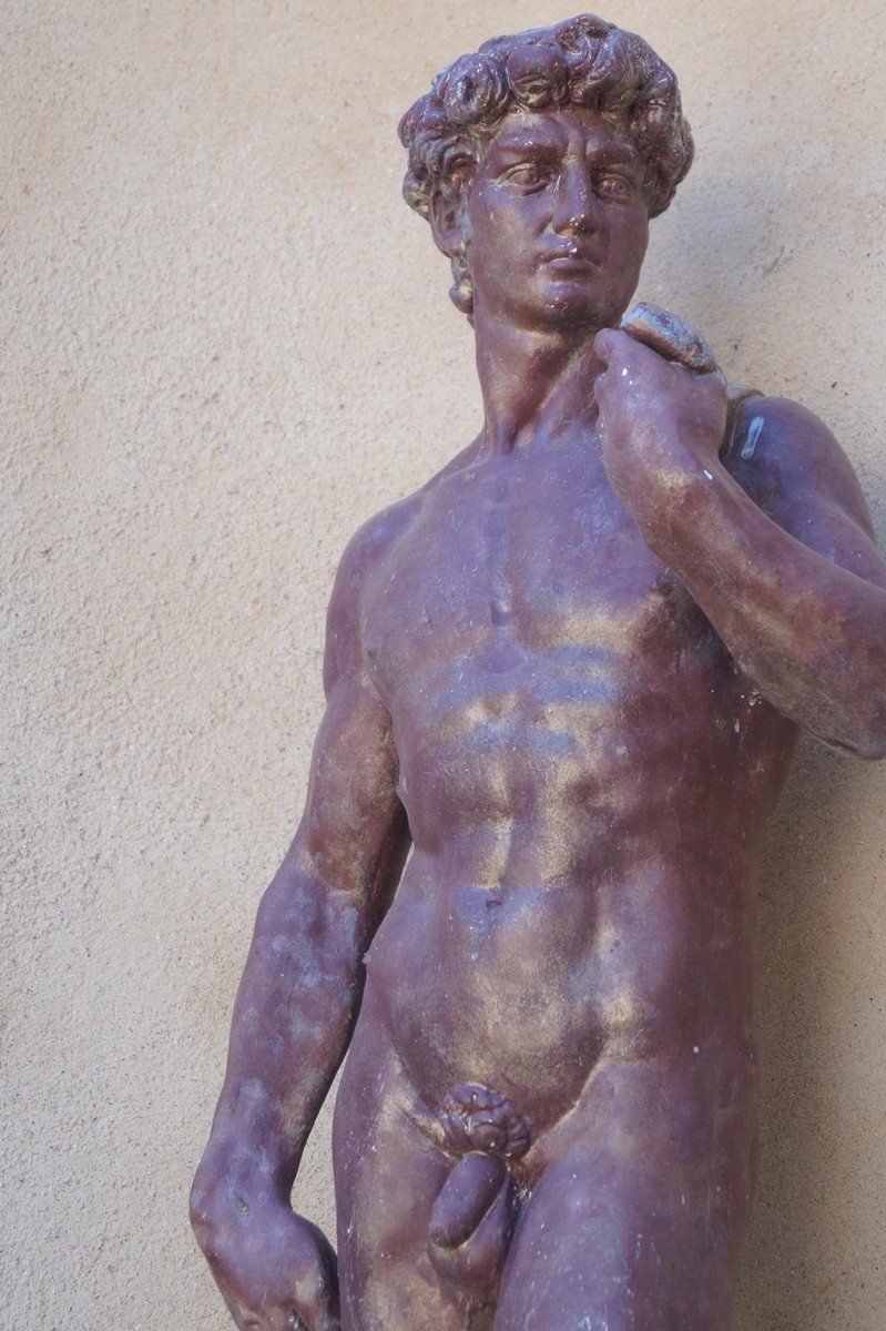 ﻿BRONZED RECONSTITUTED STONE  Figure of David Direct all shipping enquiries to shipping@sheppards.ie - Image 2 of 2