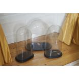 LOT OF THREE NINETEENTH-CENTURY GLASS DOMES Direct all shipping enquiries to shipping@sheppards.ie