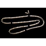 Long Chinese oyster pearl and mother o'pearl necklace Worldwide shipping available: shipping@