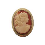 Vintage silver gilt cameo pendant/brooch Worldwide shipping available: shipping@sheppards.ie