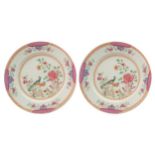 Pair of eighteenth-century Chinese famille rose plates each depicting exotic birds amongst