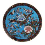 Cloisonné-Teller China, wohl 1. Hälfte 20. Jh., Geäst mit Blüten und kleinen Vögeln auf blauem
