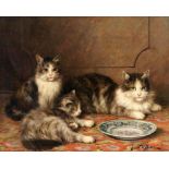 LEROY, JULESParis 1853 - 1925 Drei Kätzchen vor einem leeren Teller. Öl/Lwd., signiert. 33x41cm,