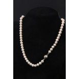 PERLENCOLLIERmit 925/000 Silberschließe. L.43cm, Perlen D. ca. 7,5mmAufrufpreis: 30 EUR

A PEARL