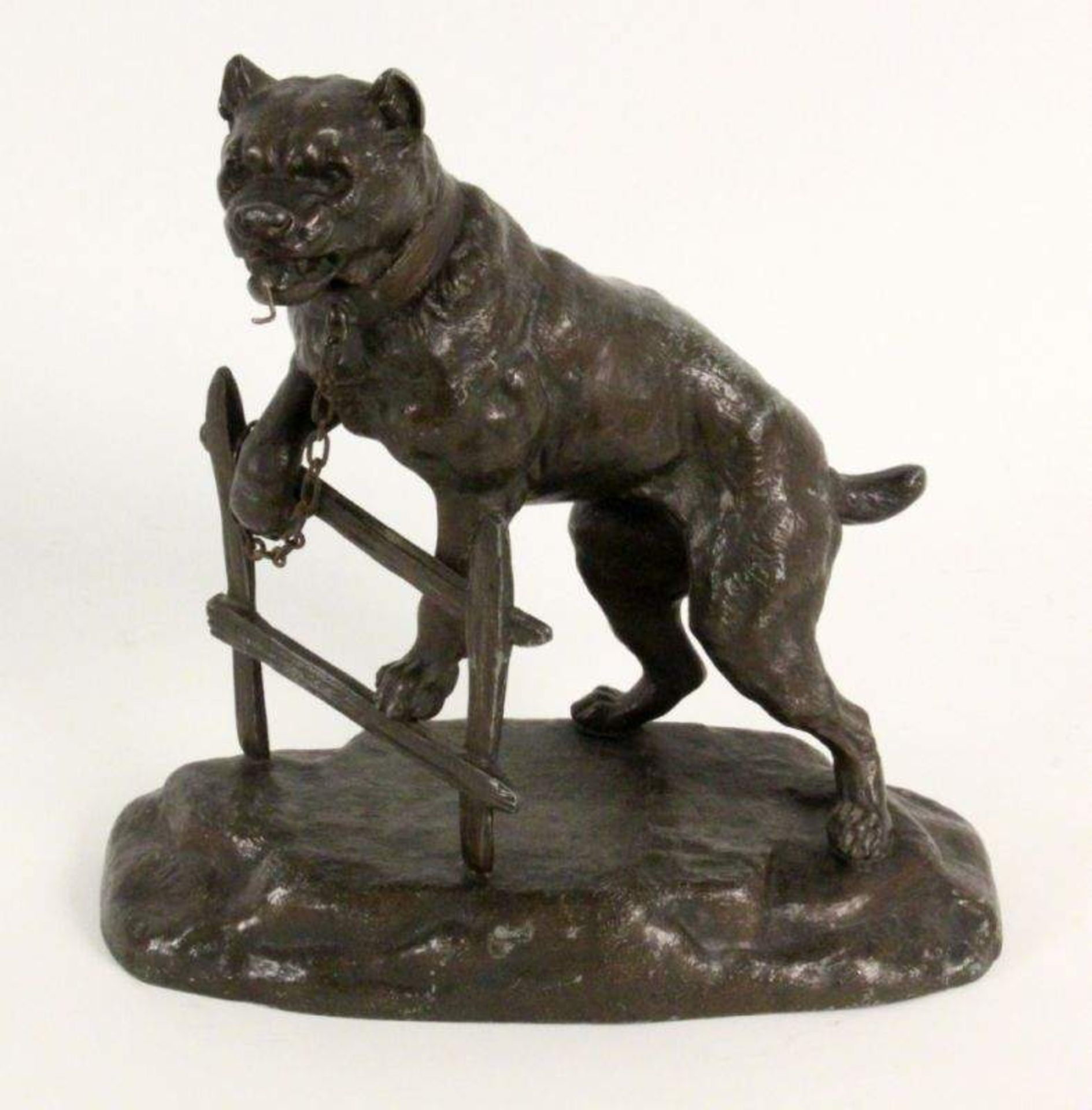 WACHHUND ALS TASCHENUHRENSTÄNDERFrankreich um 1900 Patinierter Metallguß eines angeketteten Hundes