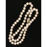 PERLENKETTESchließe 585/000 Gelbgold mit Diamanten. D. ca. 7mm, L.47cmAufrufpreis: 120 A PEARL