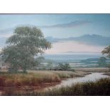 David Morgan (b.1960) Rural River Landscape with grazing cattle, signed lower right, 50cm by 75cm