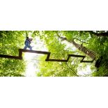 Go Ape Wonderful Corporate Day for 10 guests - including Forest Picnic in Forest Shelter